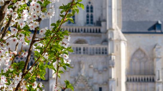 Bloesems_Grote Markt