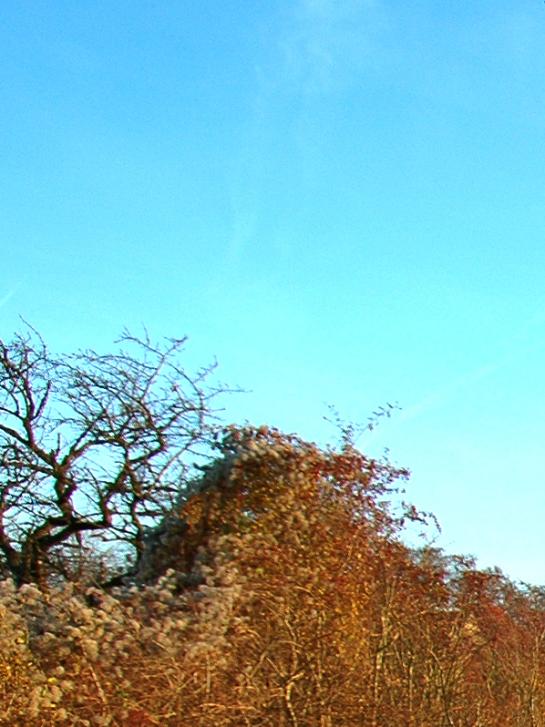 Suikerroute