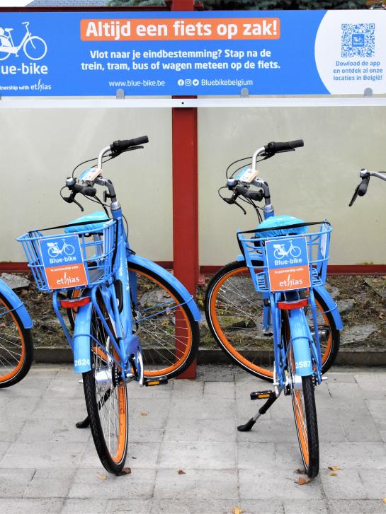 Blue-bikes