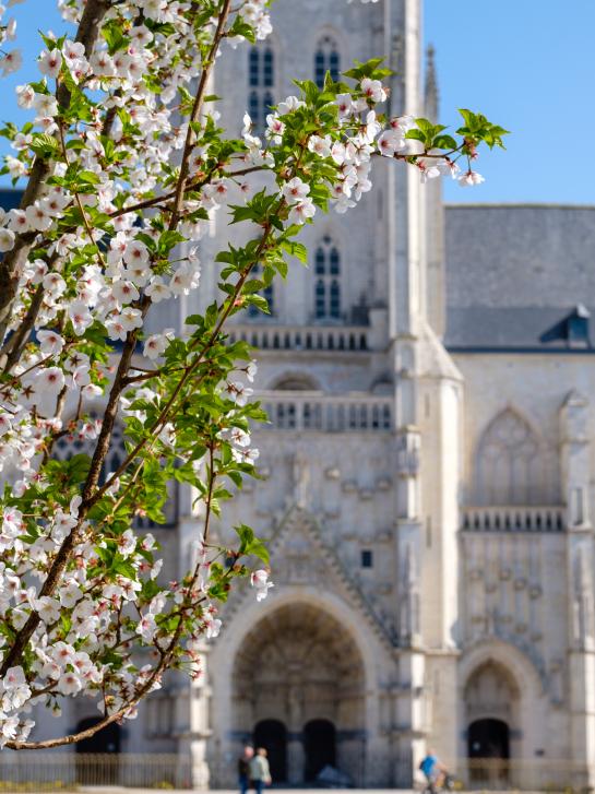 Bloesems_Grote Markt