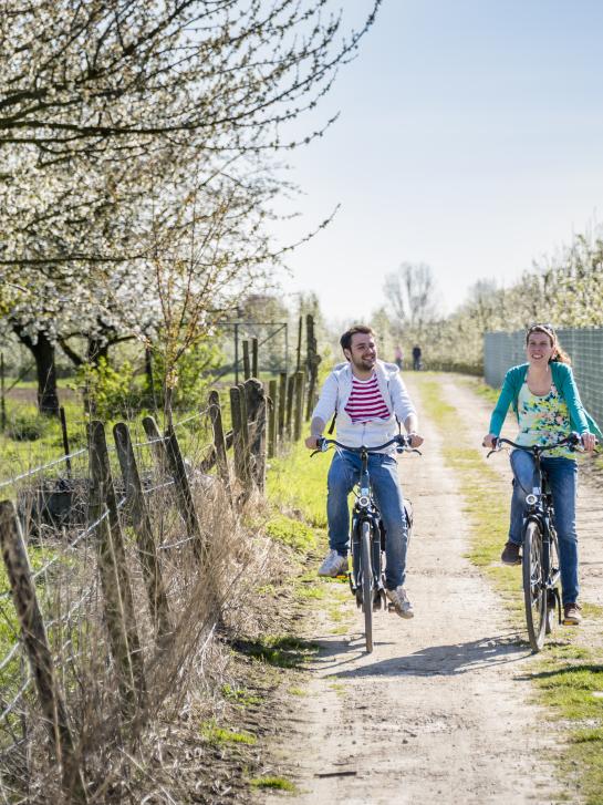 Fietsers