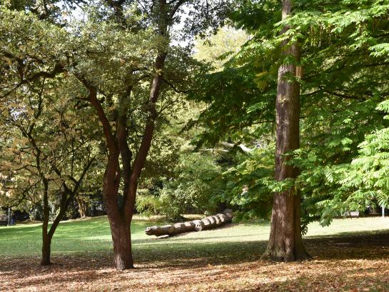 Stadspark