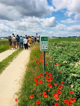 Wandelroute