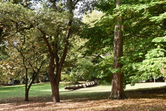 Stadspark