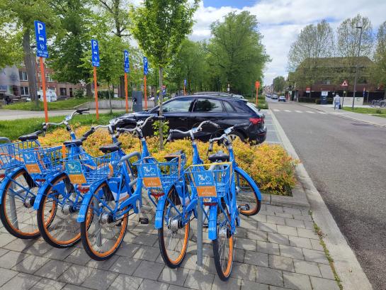 Blue-bike