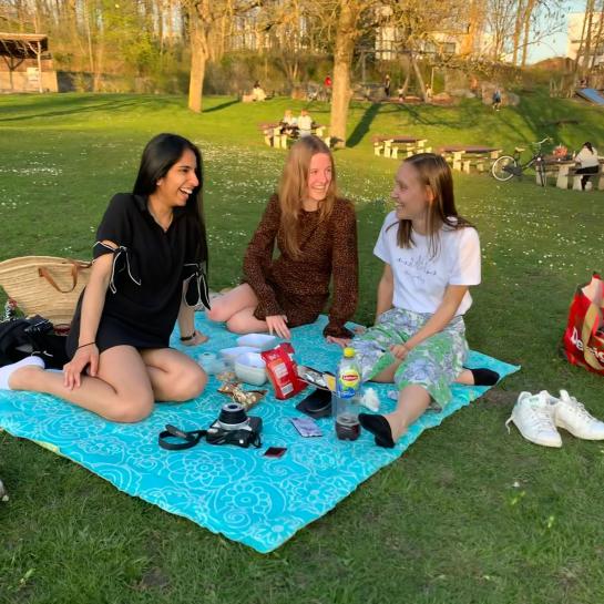 Picknicken