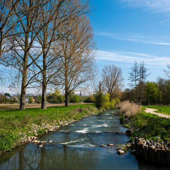 Meander Grote Gete 