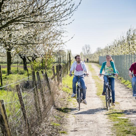 Fietsers